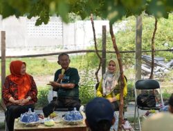 Dukung Petani Anggur Duyu, Cudy Siapkan Mesin Pencacah Daun dan Bibit 
