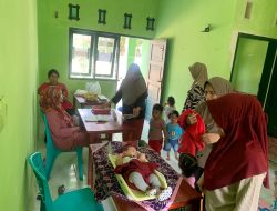 Posyandu Balita Desa Mekarbaru Kecamatan Banawa Tengah