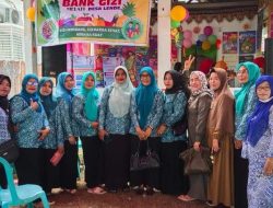 Lounching Bank Gizi Melati Desa Lende