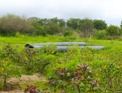 Pemborosan Dana Negara? Sambungan Pipa Air Proyek 43 Miliar BPPW Sulteng Diabaikan