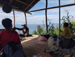 Kebun Jagung di Salena Terancam Debu Galian C, Petani Menuntut Solusi Tegas