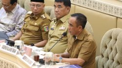 Hai Dodo ! Nikel ri Morowali Niprediksi Aga Mantaha Sapulu Mpae