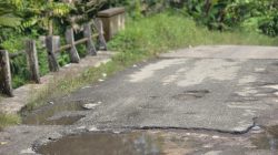 Ruas Jalan Trans Tolitoli-Parigi Moutong Rusak Parah