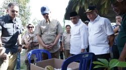Tinjau Potensi Cokelat dan Durian di Sigi, Menteri Transmigrasi Dorong Transformasi Kawasan Ekonomi
