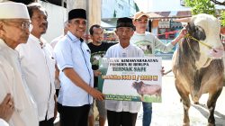 Gubernur dan Presiden Salurkan 37 Ekor Sapi Kurban Untuk Warga Sulteng