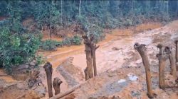 Desa Molino Diterjang Banjir Bandang, Sejumlah Rumah Warga Terseret Air