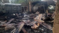 Asrama Parigi Moutong  Ludes Dilalap Si Jago Merah