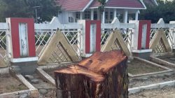 Gubernur Sulteng Murka, Pohon Peneduh di Depan Rujab Ditebang Orang