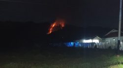 20 Hektar Hutan di Avolua Ludes Dilalap Si Jago Merah