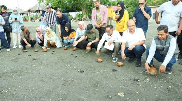 Wabup Donggala Pimpin Rakor Pokja dan Pelepasan Penyu di Lalombi