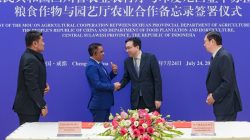 Gubernur Sulteng Bangun Kemitraan Investasi dan Hilirisasi dengan Sichuan