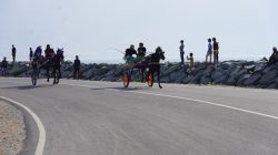 Dokar Race Event Palu Digelar, Talise Diproyeksikan Jadi Ikon Event Wisata