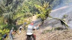Api Hanguskan Kebun Warga di Santigi, Ratusan Tanaman Produktif Terdampak