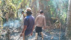 Setengah Hektare Kebun Kelapa di Lambunu Utara Terbakar, Polisi Dalami Sumber Api