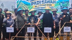 Tanam Padi Perdana di Lindu, Bupati Rizal Targetkan Sigi Jadi Sentra Pangan