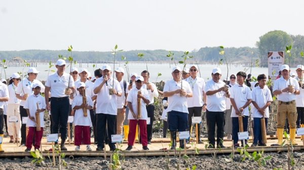 Lindungi Pantai Utara Jawa dari Abrasi, BRI Tanam 30 Ribu Bibit Mangrove 