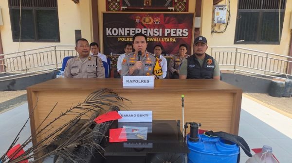 Bakar Lahan Picu Karhutla 15 Hektare, Warga Morowali Utara Ditetapkan Tersangka